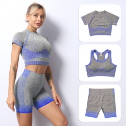 Seamless Yoga Set 1-HZ-666S